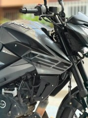 Bajaj Pulsar Ns125 Yazı Sticker - Görsel 3